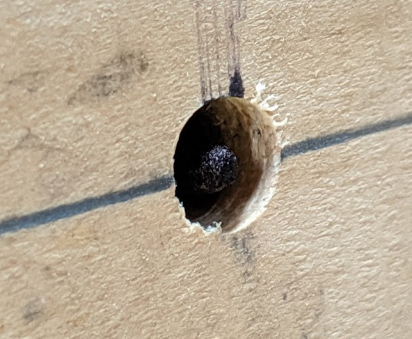 20190714-043918.png 20190714-043918.png