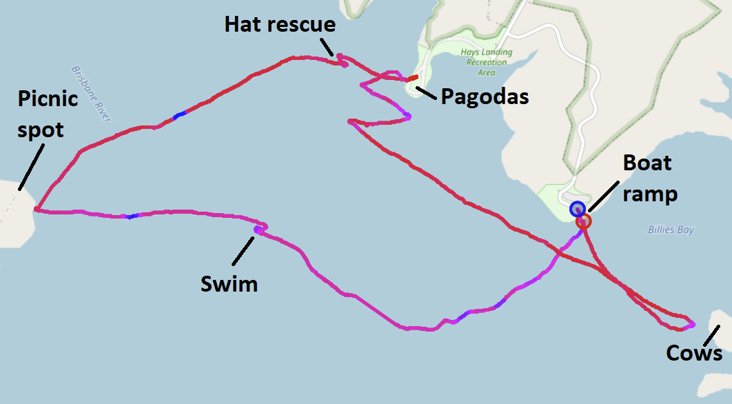 A screenshot of the a track on a map showing the whole sail. It looks a bit like a dolphin swimming from right to left.